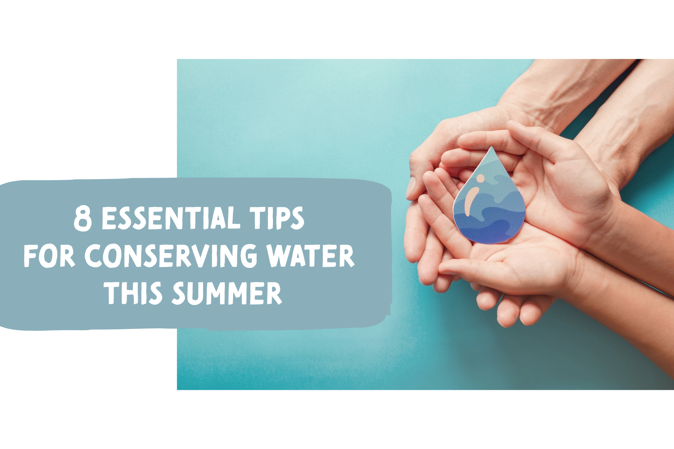 Plumbing blog on how to conserve water in the summer.